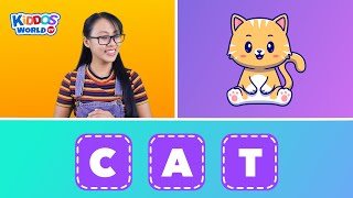 3 Letter Words Spelling  English Spelling  English Vocabulary and Phonics Sounds [upl. by Chu150]