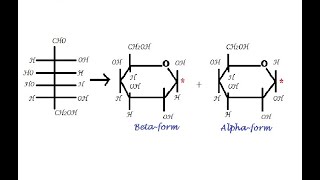 Learn to write Pyranose Furanose form using Haworth Formulae [upl. by Schulz]