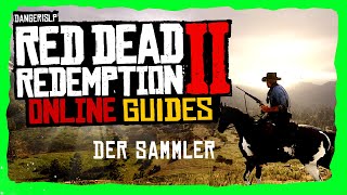 Der Sammler Guide 🐴 Tipps amp Tricks 🐴 Red Dead Redemption 2 Sammler [upl. by Bilski]