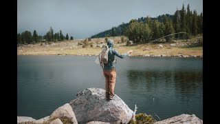 Fly Fishing the Absaroka Beartooth Wilderness in Montana [upl. by Ahsrat109]