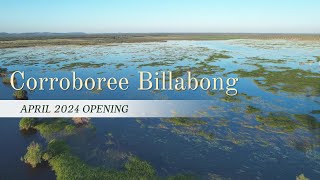 Corroboree Billabong April 2024 Opening [upl. by Yeslah]