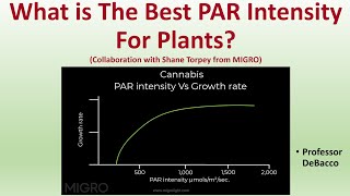 What is the Best PAR Intensity For Plants Collaboration with Shane Torpey from MIGRO [upl. by Zul]