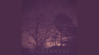 Wilderness [upl. by Akinom47]