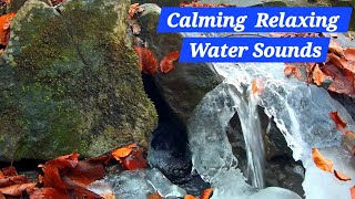 ASMR  Calm Your Dog  Water Sounds For Relaxing And Sleep  Soft Water Sounds For Baby [upl. by Sirdi24]