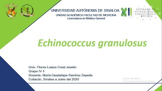 12 Equinococcus granulosus [upl. by Urd]