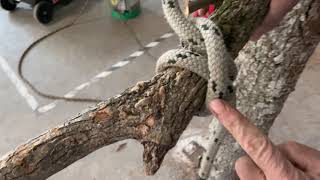 How to Tie a Clove Hitch for Limb Lowering [upl. by Allertse765]