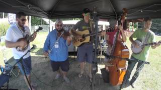 Colebrook Road  Live by the Bus  Podunk Bluegrass Festival 2015  TELEFUNKEN [upl. by Ella]