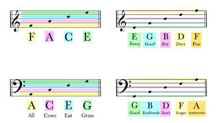 How To Read Notes On The Staff  EASY  Music Theory Tutorial [upl. by Nimrahc]