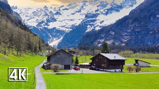 Engelberg 🌷 Spring walk 4K 🇨🇭 beautiful village in central Switzerland [upl. by Drahsar]