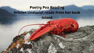 Poetry Pea Readings Kristen Lindquist – Island [upl. by Odnalor2]