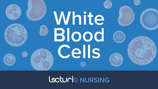 White Blood Cells The 5 WBC Types Reference Ranges amp Functions  Pathophysiology  NCLEX Prep [upl. by Retsek]