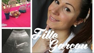 VLOG GROSSESSE  Garçon ou fille [upl. by Stine]