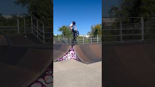 Lines at Chattanooga Skatepark bmx bmxpark bmxtricks [upl. by Evin]