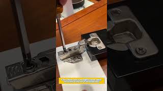 ROEASY  how to adjust Inset concealed hinge [upl. by Fidelity]