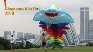 Singapore Kite Day at Marina Barrage [upl. by Rothschild]