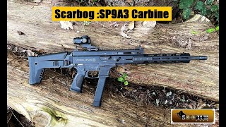 Stribog SP9A3 G 9mm Carbine Review [upl. by Gnus]