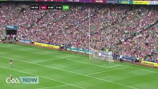 All Ireland Hurling Final 2018 Highlights Galway vs Limerick [upl. by Daenis]