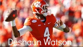 Deshaun Watson 2014 Highlights  quotHes Number 4quot  HD [upl. by Ida569]