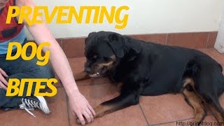 Dog Trainer Gets Bitten To Demonstrate Dog Warning Signs And Bite Inhibition [upl. by Latsryc57]