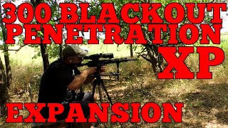 POWERTEST 20 DEER SEASON XP 300BLACKOUT [upl. by Hepsiba]