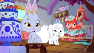 Whisker Haven Tales  A Dreamyful Birthday  Official Disney Junior UK HD [upl. by Mayman]