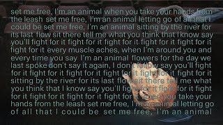 Sega Bodega  Set Me Free Im an Animal Lyric Video [upl. by Oralla439]