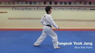 Taegeuk Yook Jang  Blue Belt Form [upl. by Hogle]