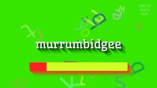 MURRUMBIDGEE  HOW TO SAY MURRUMBIDGEE murrumbidgee [upl. by Liggett820]