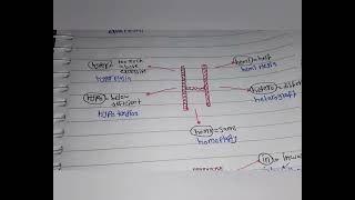 prefixes in medical terminology part 3 [upl. by Andrey]