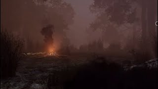 1 Hour Dead by Daylight Campfire Ambient Noises and Game OST for Relaxation [upl. by Aitel580]