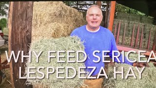 Why Feed Sericea Lespedeza Hay [upl. by Will]