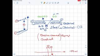 14 Nerve Physiology 1 [upl. by Janene456]