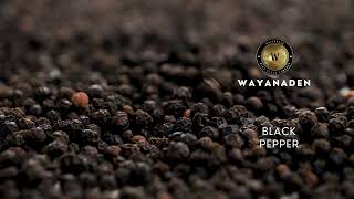 Organic Black Pepper  TGSEB Grade Black Pepper  Tellicherry Pepper  Kerala Pepper  WAYANADEN [upl. by Eesdnyl]