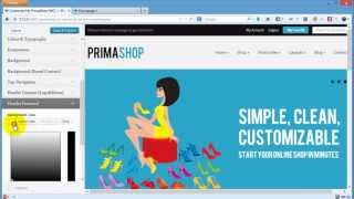 PrimaShop WooCommerce  Working With Design Settings Customizer [upl. by Angelico]