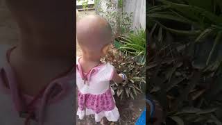 morning graden view tarrecegardentranding cutebaby sunlight plants youtubeshorts [upl. by Mamie]