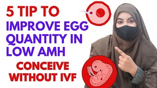 5 Tips To IMPROVE EGG QUALITY In Low Amh l IMPROVE EGG QUALITY IN 15 DAYS l GET PREGNANT FAST [upl. by Glynias]