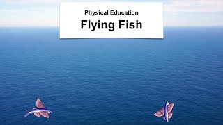 Physical Education Flying Fish [upl. by Ahsemrac]