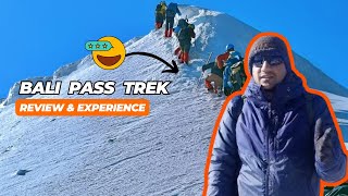 Bali Pass Trek  Trekkers Review amp Experience With Trekup India [upl. by Claudette]