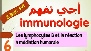 immunologie 2 bac svt ep 6  les lymphocytes B et la réaction à médiation humorale LB [upl. by Earased]