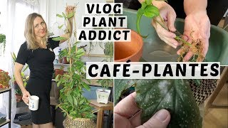 🌿☕️ CAFÉ PLANTES  TUTEURER UNE HOYA REMPOTER UN PHILO NOUVELLE PLANTE  VLOG PLANT ADDICT [upl. by Nnomae]