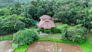 Beautiful stay at Flameback Lodges in Mudigere  Chikmagalur part 3 [upl. by Kostman142]