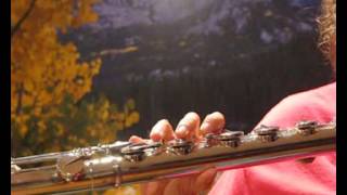 Di Zhao Bass Flute Low Register Free Shipping in the US w Phone Orders [upl. by Alicia]