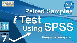 How to do a Paired Samples t Test in SPSS 117 [upl. by Carolyn]