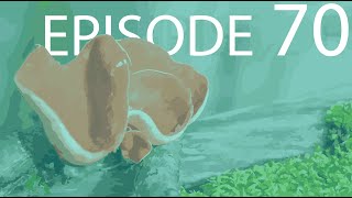 Episode 70  Ascomycota [upl. by Odey]