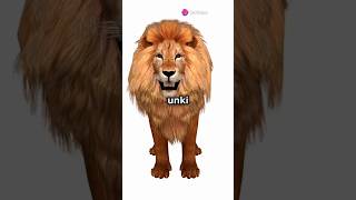 The Most INSANE Animals That Can Kill A Lion shorts youtubeshorts ytshorts shortsvideo lion [upl. by Llehsyar514]