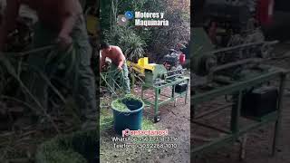 MOLINO DE MARTILLO TP24 PENAGOS CON MOTOR DIESEL 🧑🏻‍🌾🔥 elsalvador agriculture farming shorts [upl. by Enrev]