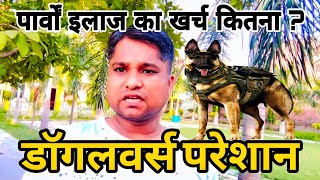 Parvo treatment how much cost in india petsiconvaranasi pets doglover dog puppy dogbreed [upl. by Enahs]