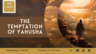 The Logos 16  The Temptation of Yahusha thelogos biblestudy temptationofYahusha [upl. by Leanard]