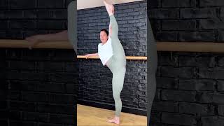 Morning Yoga Stretching Forearm Stand shorts 9 [upl. by Eisseb]