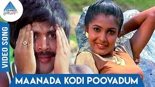 Maanada Kodi Song  Muthal Vasantham  Sathyaraj  Pandiyan  Ramya Krishnan  Pyramid Glitz Music [upl. by Luis]